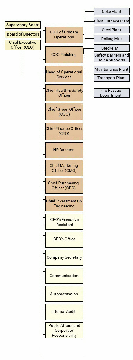 Company organization structure